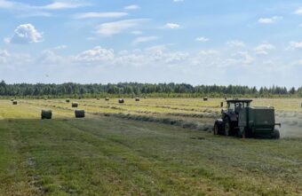 В Тверской области завершается уборка озимых зерновых В Тверской области завершается уборка озимых зерновых