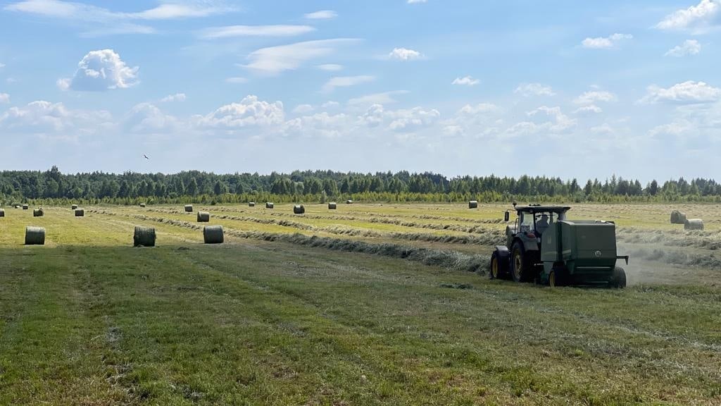 В Тверской области завершается уборка озимых зерновых