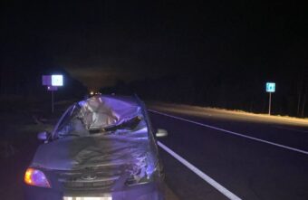 В Тверской области "Лада" сбила лося В Тверской области "Лада" сбила лося
