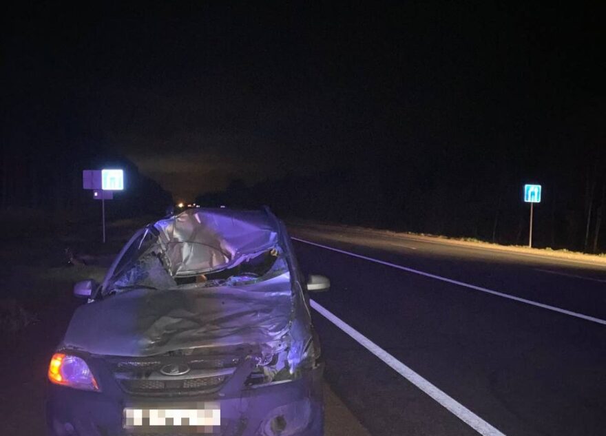 В Тверской области "Лада" сбила лося