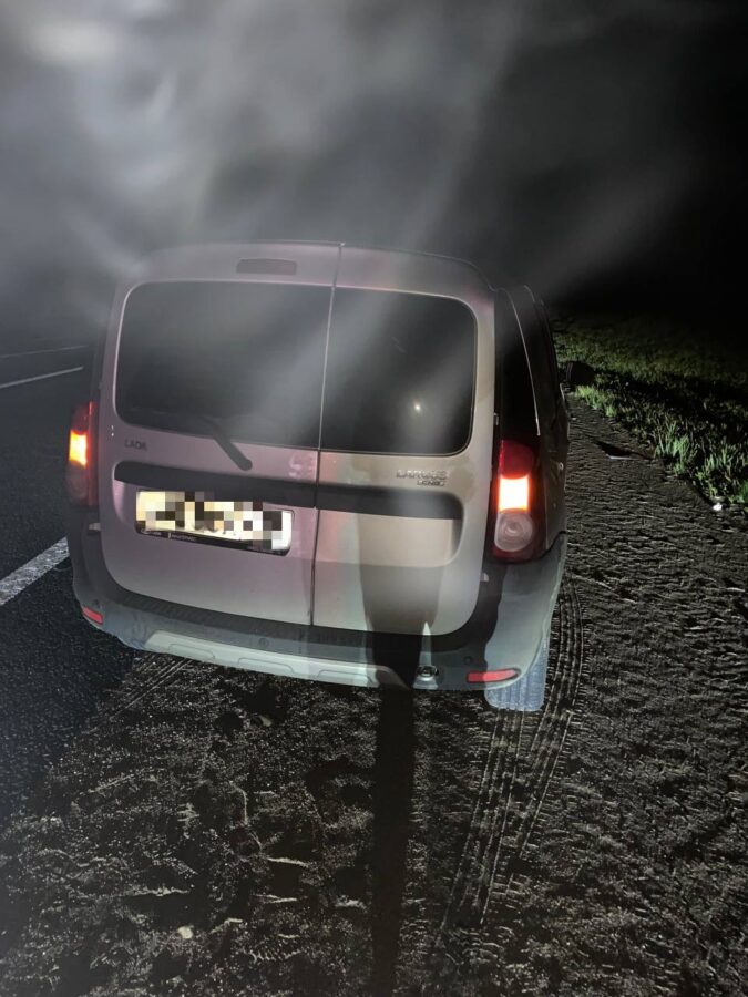 В Тверской области "Лада" сбила лося