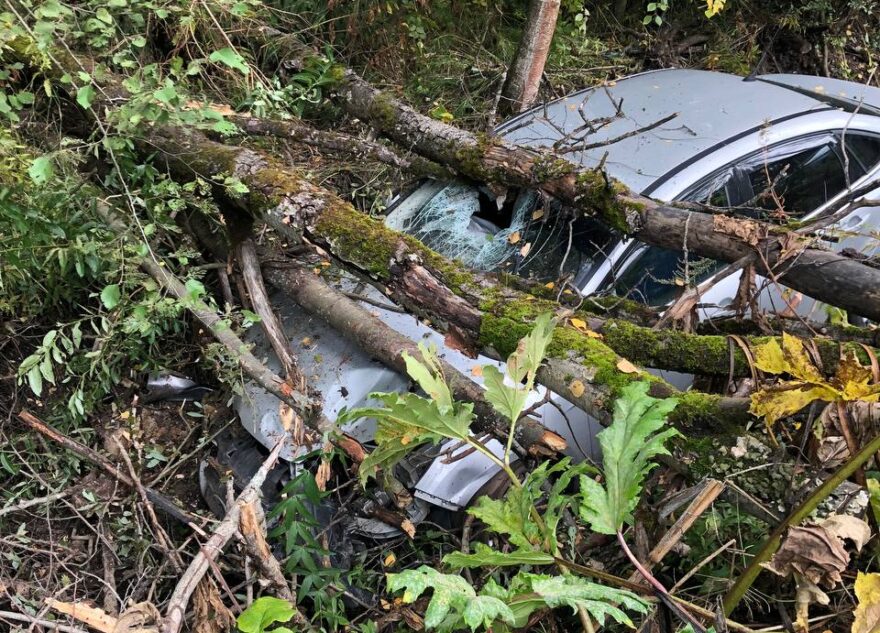 В Тверской области иномарка съехала с трассы в канаву