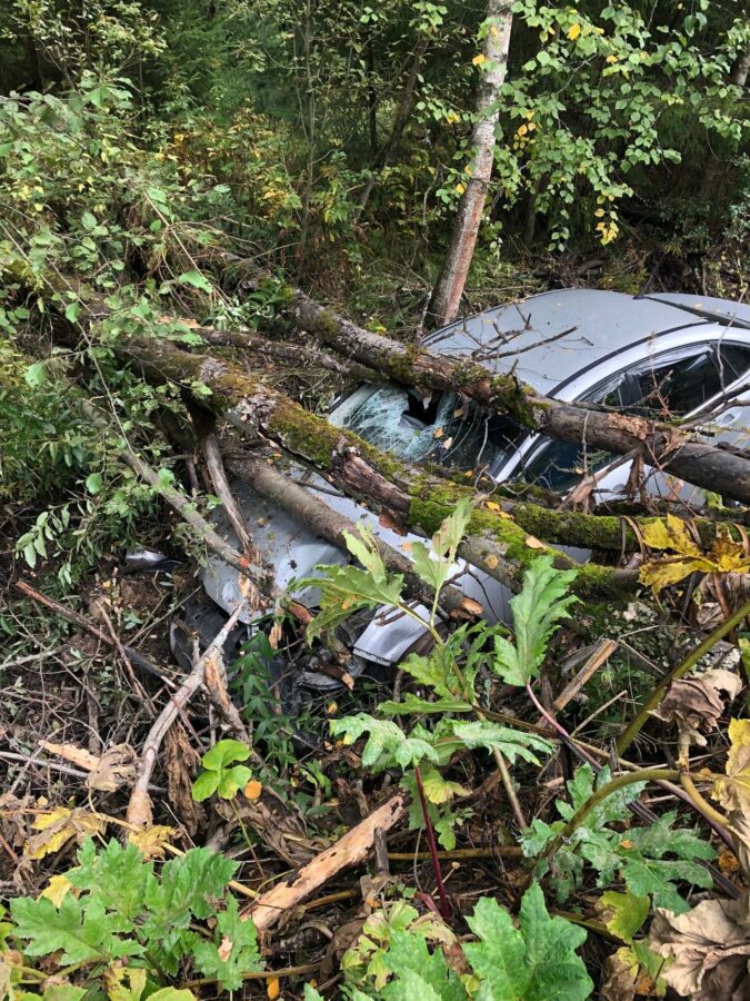 В Тверской области иномарка съехала с трассы в канаву