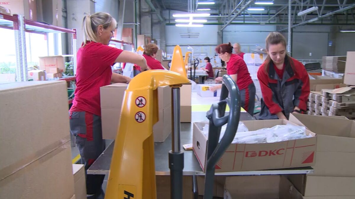 Больше 7500 подростков получили трудовой опыт в Тверской области в этом году