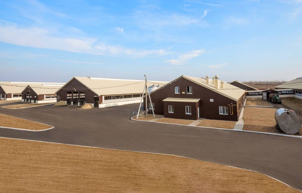 В Тверской области воплотят в жизнь инвестиционный проект в сфере молочного животноводства