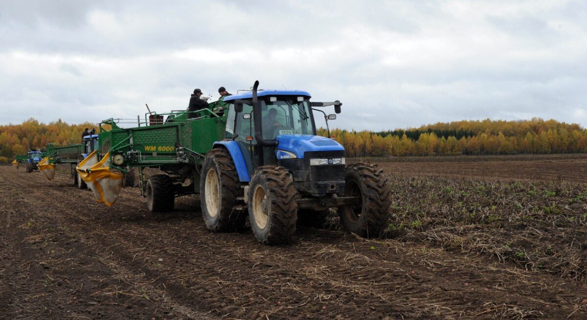 В 10 муниципалитетах Тверской области завершена уборочная кампания