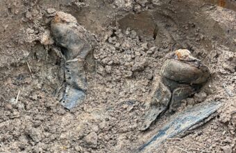 В Тверской области обнаружили останки бойцов и командиров Красной армии В Тверской области обнаружили останки бойцов и командиров Красной армии