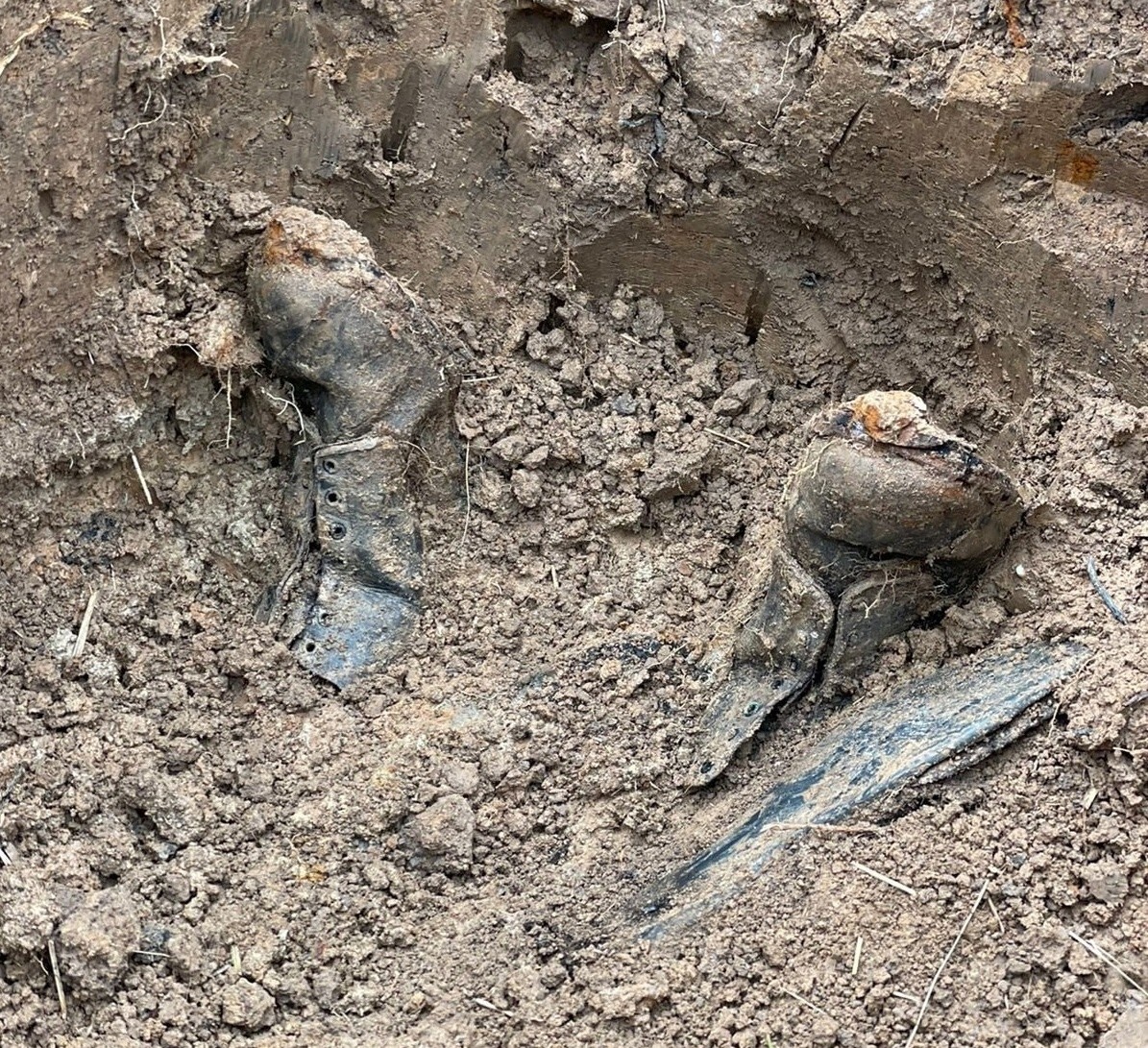 В Тверской области обнаружили останки бойцов и командиров Красной армии