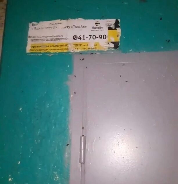 В Твери тараканы "не пускают" жильцов домой