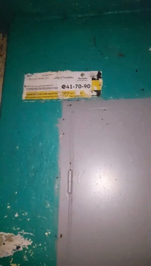 В Твери тараканы "не пускают" жильцов домой