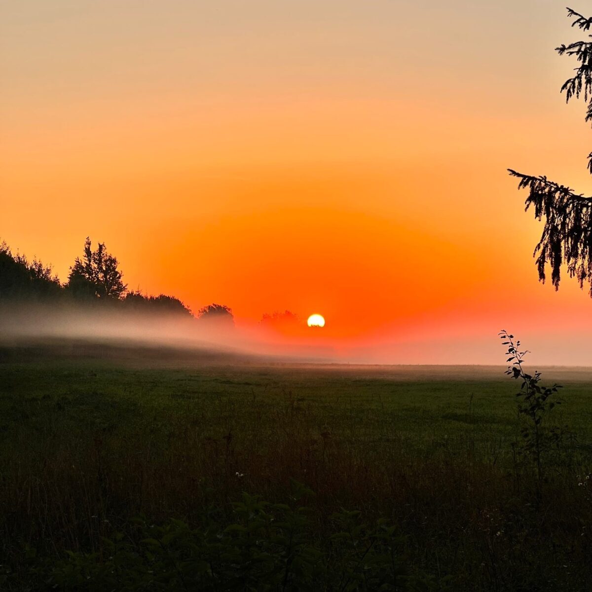 В Тверской области начинается бабье лето