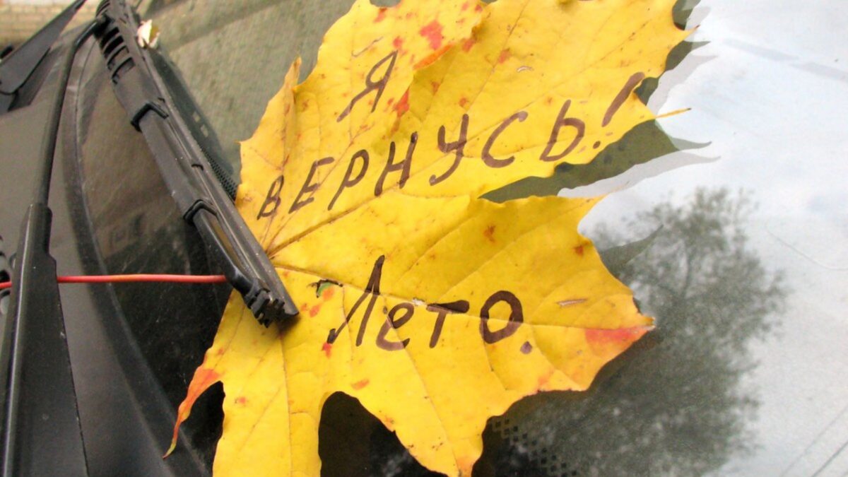 Бабье лето в Тверской области наступит раньше срока