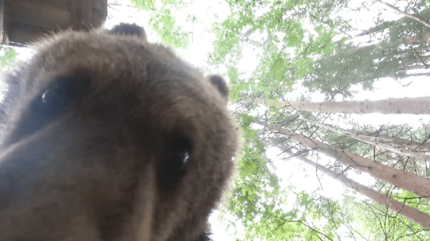 Знаменитый видеоблогер Веснушкин съел камеру в Тверской области Знаменитый видеоблогер Веснушкин съел камеру в Тверской области