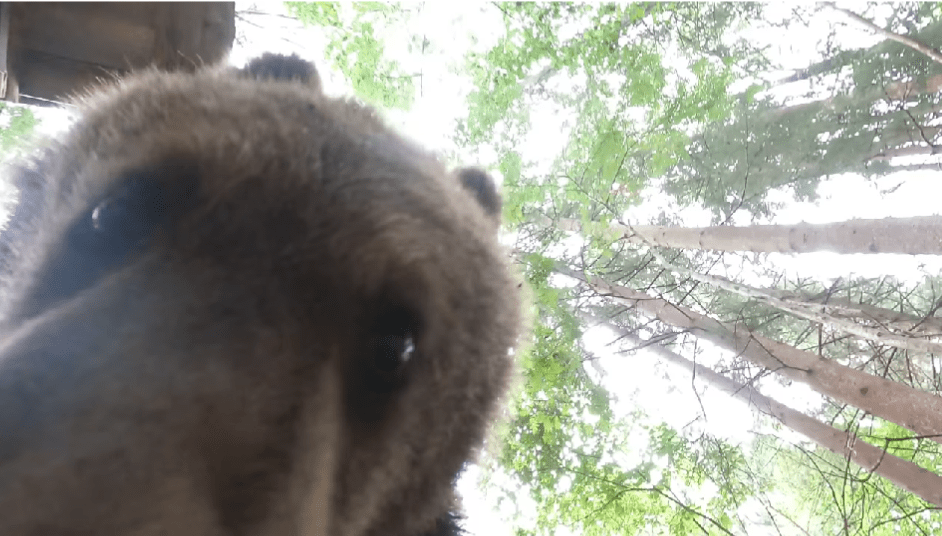 Знаменитый видеоблогер Веснушкин съел камеру в Тверской области