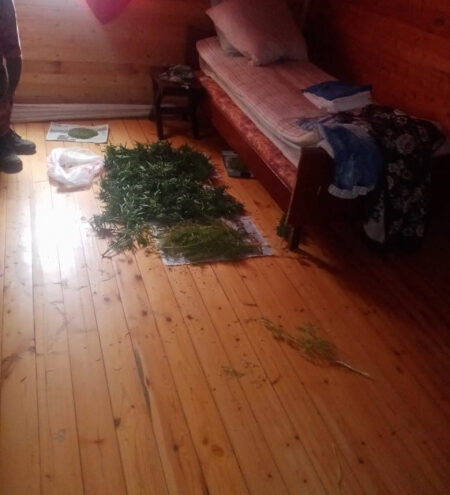 В Тверской области задержали подозреваемого в хранении наркотических средств В Тверской области задержали подозреваемого в хранении наркотических средств