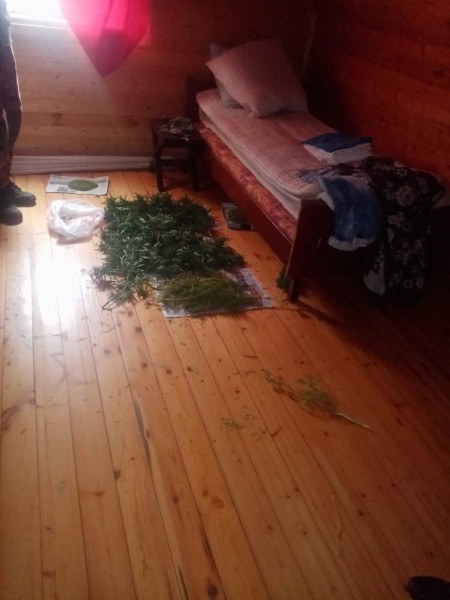 В Тверской области задержали подозреваемого в хранении наркотических средств