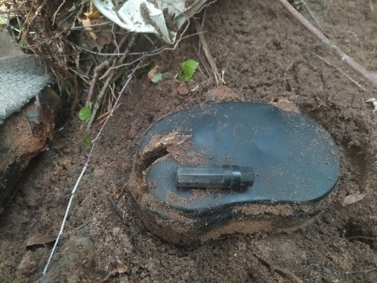 В Тверской области нашли останки солдата и медальон с капсулой