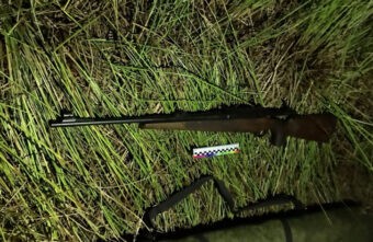 В Тверской области нашли убийцу лосихи В Тверской области нашли убийцу лосихи