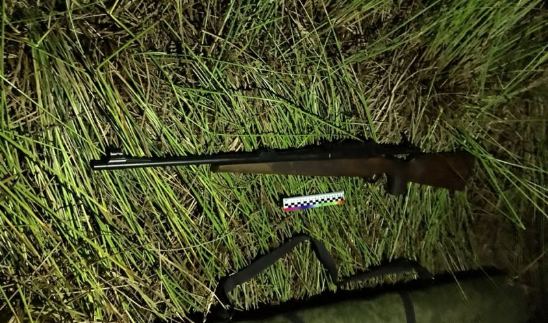 В Тверской области нашли убийцу лосихи В Тверской области нашли убийцу лосихи