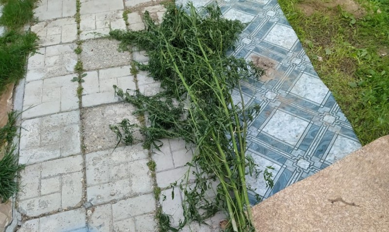 Житель Тверской области хранил дома наркотики и взрывчатку