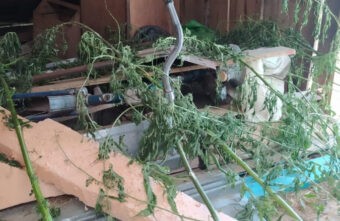 Житель Тверской области хранил дома наркотики и взрывчатку