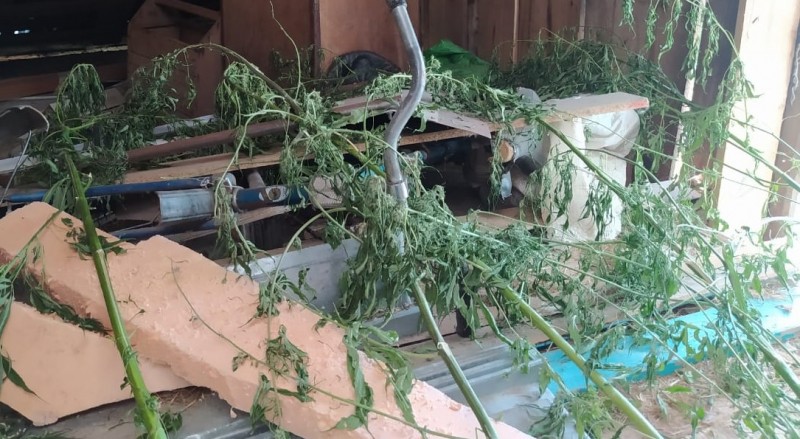 Житель Тверской области хранил дома наркотики и взрывчатку