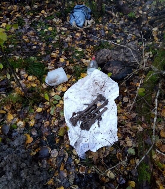 Поисковики нашли в лесах останки военного, погибшего во время операции "Марс" Поисковики нашли в лесах останки военного, погибшего во время операции "Марс"