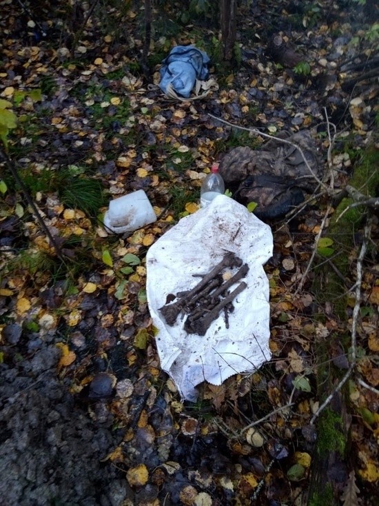 Поисковики нашли в лесах останки военного, погибшего во время операции "Марс"