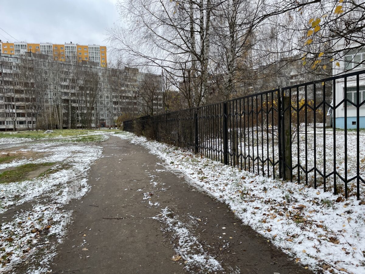 В Тверской области выпал первый снег В Тверской области выпал первый снег