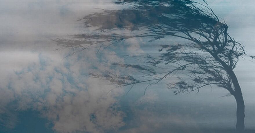 В ближайшее время в Тверской области поднимется сильный ветер В ближайшее время в Тверской области поднимется сильный ветер