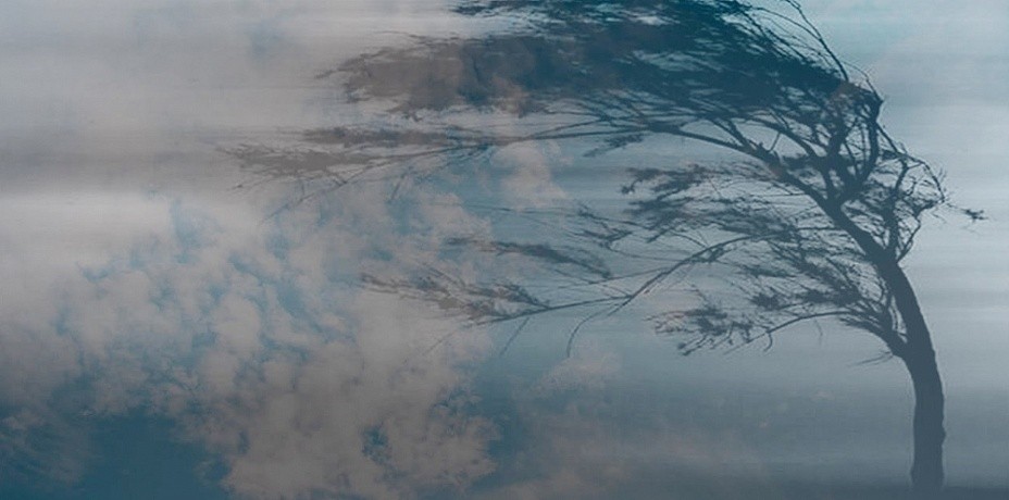 В ближайшее время в Тверской области поднимется сильный ветер