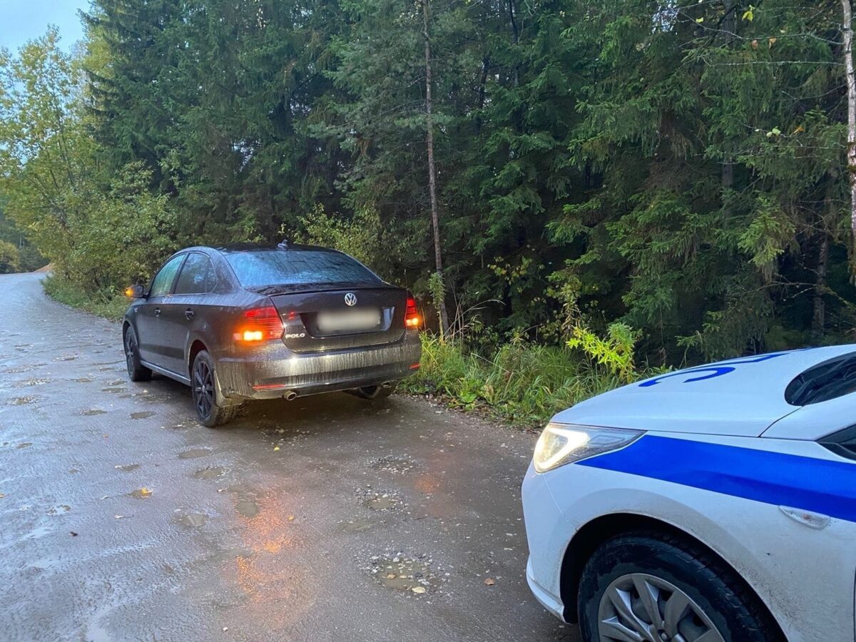 В выходные под Тверью автоинспекторы опять поймали пьяных водителей