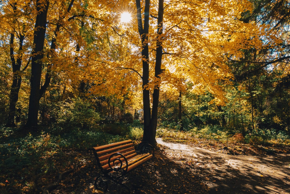 Синоптики рассказали о погоде в Тверской области в выходные