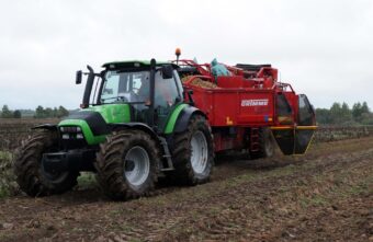 В Тверской области увеличилась урожайность картофеля и овощей