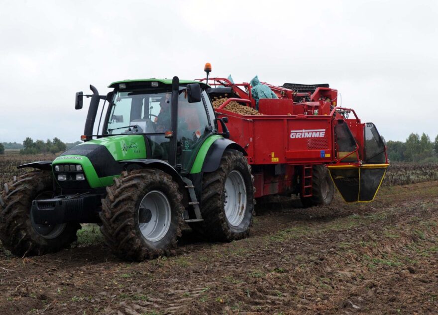 В Тверской области увеличилась урожайность картофеля и овощей В Тверской области увеличилась урожайность картофеля и овощей