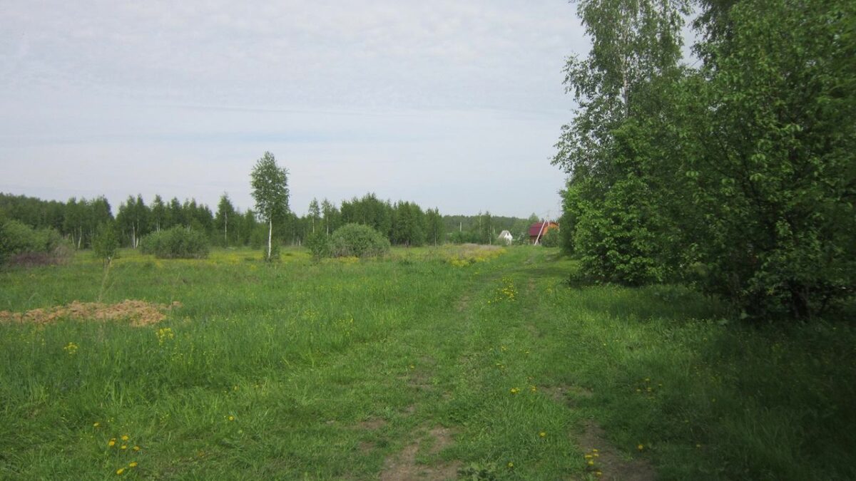 В Тверской области ликвидировали свалку В Тверской области ликвидировали свалку
