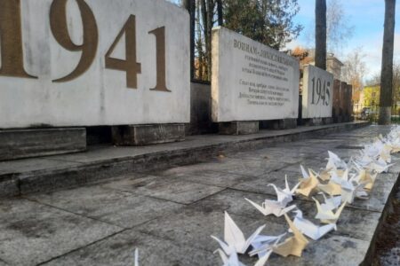 День белых журавлей провели в Лихославле День белых журавлей провели в Лихославле