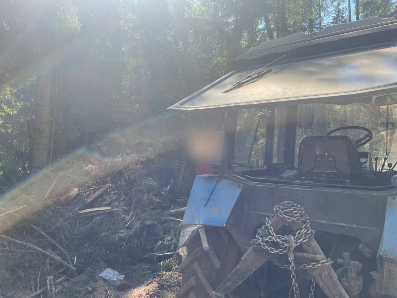 Житель Тверской области незаконно рубил и продавал лес