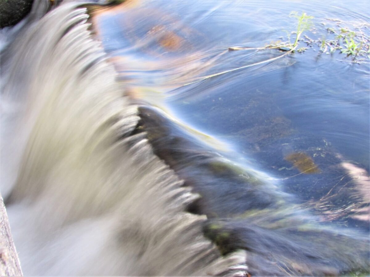 В Тверской области сохранились остатки уникальной мельницы