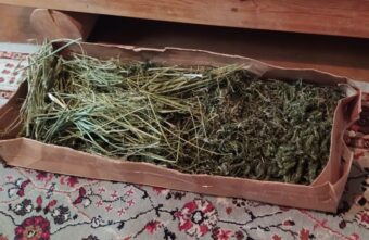 У жителя Тверской области нашли килограмм марихуаны У жителя Тверской области нашли килограмм марихуаны