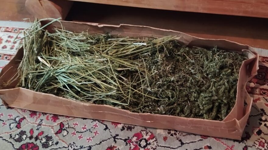 У жителя Тверской области нашли килограмм марихуаны У жителя Тверской области нашли килограмм марихуаны