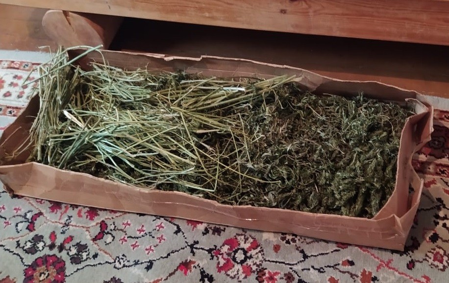 У жителя Тверской области нашли килограмм марихуаны