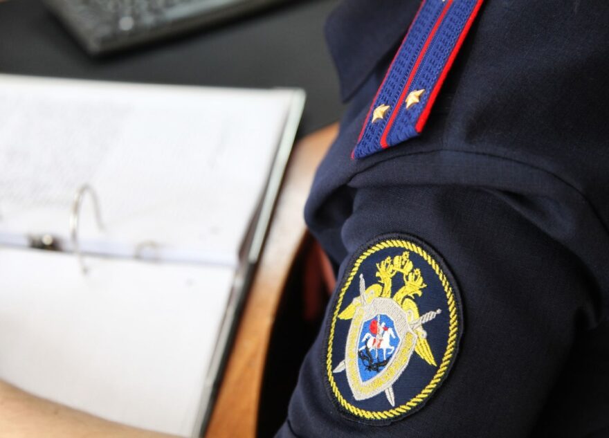 Собака насмерть загрызла пожилую женщину в Тверской области Собака насмерть загрызла пожилую женщину в Тверской области