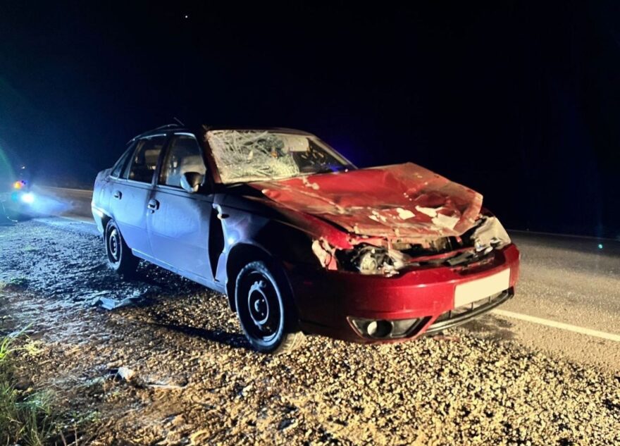 При ДТП под Тверью сбили лося