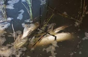 Предприятие в Тверской области загрязняет реку отходами