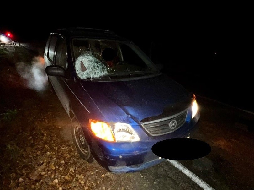 Пешеход-нарушитель погиб, попав под колёса иномарки под Тверью