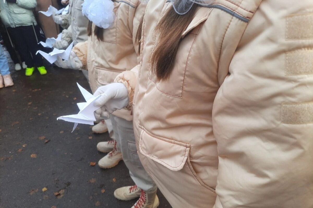 День белых журавлей провели в Лихославле