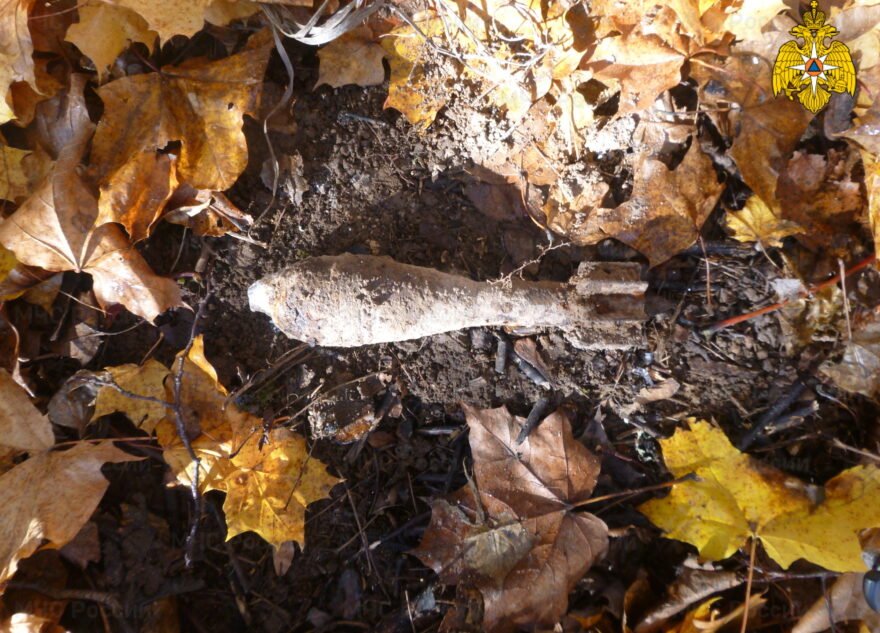 Миномётную мину обезвредили в Тверской области