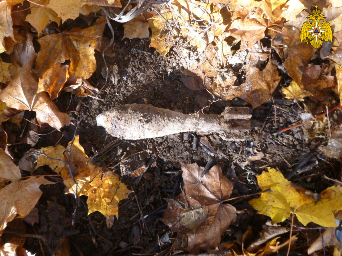 Миномётную мину обезвредили в Тверской области