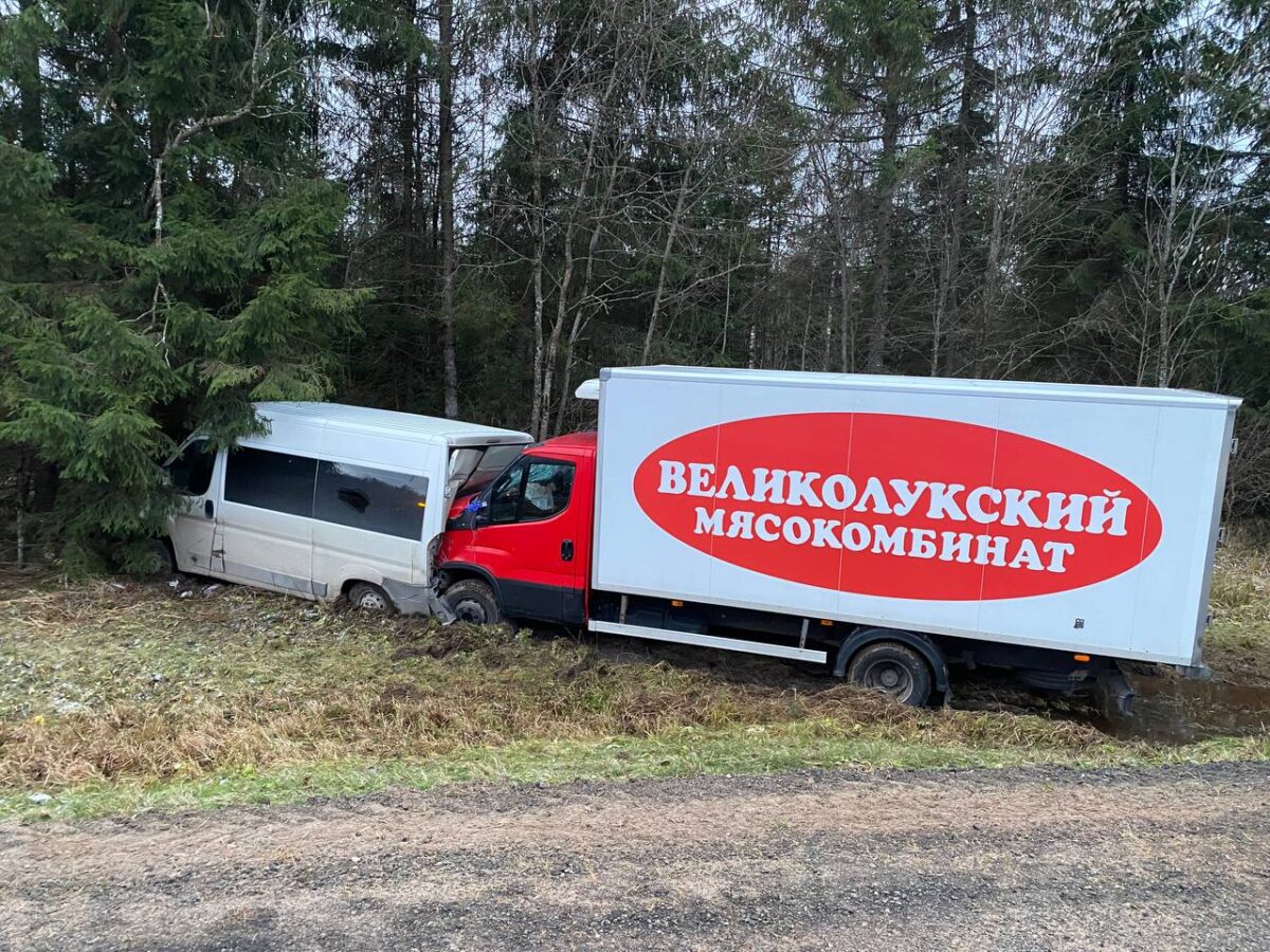 В аварии в Тверской области погиб водитель микроавтобуса, пассажиры  пострадали | ТОП Тверь новости